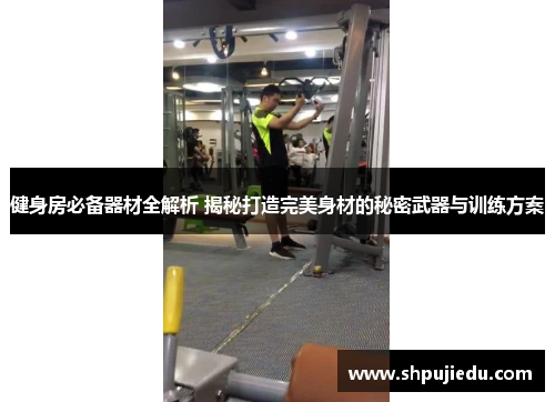 健身房必备器材全解析 揭秘打造完美身材的秘密武器与训练方案