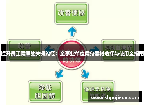 提升员工健康的关键路径：企事业单位健身器材选择与使用全指南
