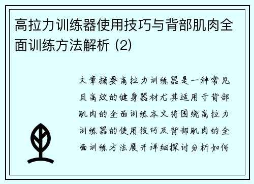 高拉力训练器使用技巧与背部肌肉全面训练方法解析 (2)