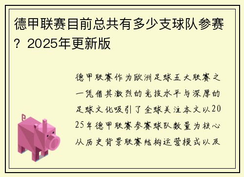 德甲联赛目前总共有多少支球队参赛？2025年更新版