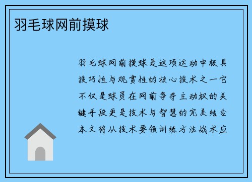 羽毛球网前摸球
